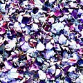 Fallen Leaves 1