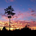 Georgia Sunset 5